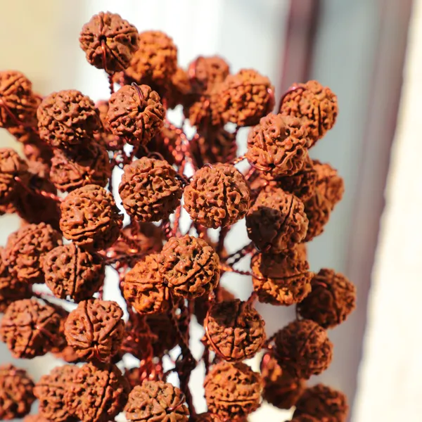 Panch_Mukhi_Rudraksha_Bouquet_With_Wooden_Vase
